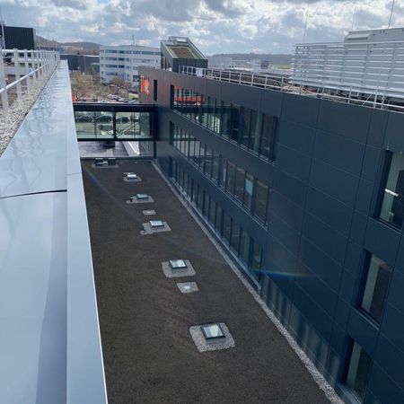Wörwag, Korntal-Münchingen | Ansicht des Daches eines Gebäudes mit einer begrünten Dachfläche, die zur Umweltfreundlichkeit beiträgt